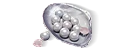 600+68 Echo Beads