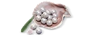 900+155 Echo Beads