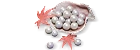 3000+458 Echo Beads
